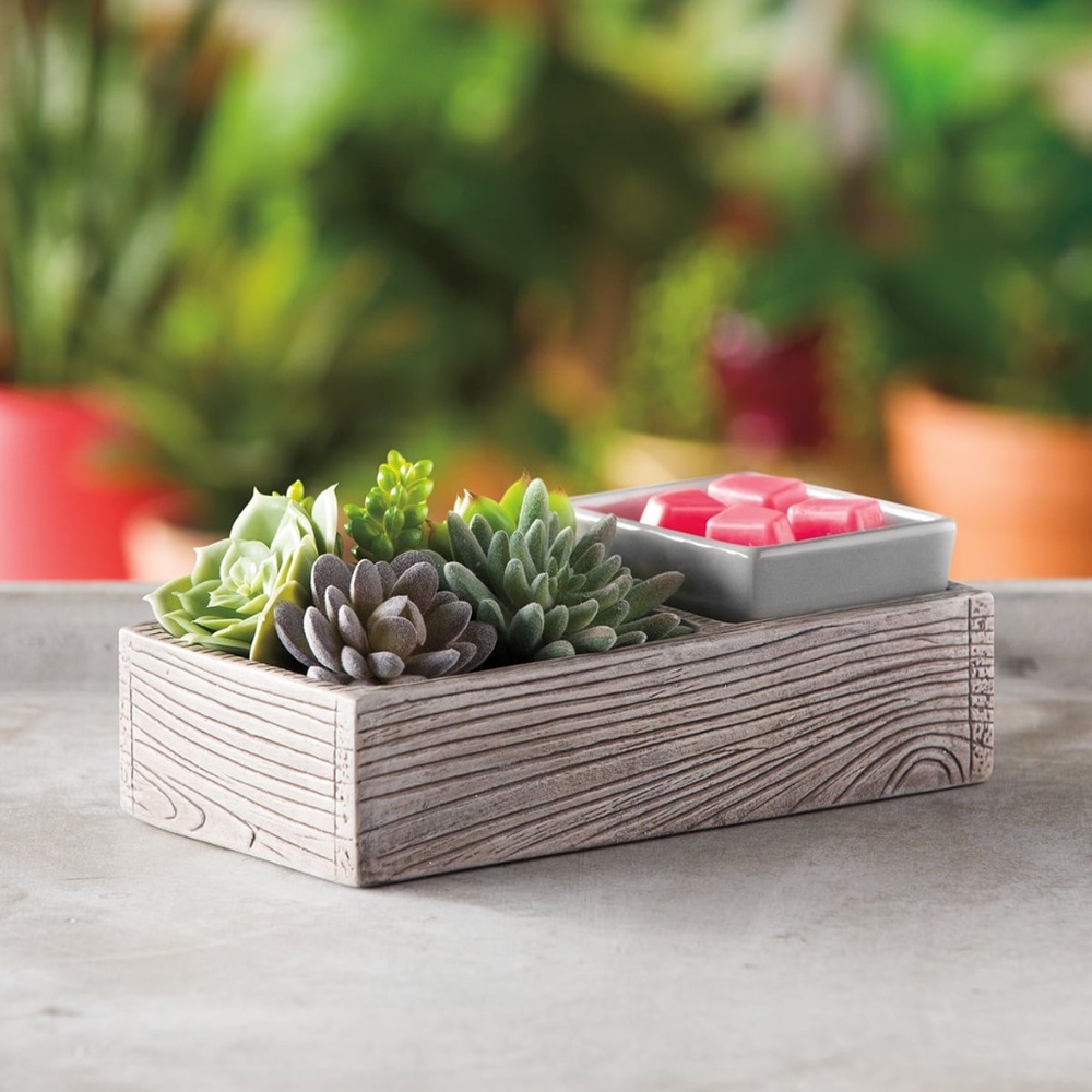 Suc-cute-lent Warmer